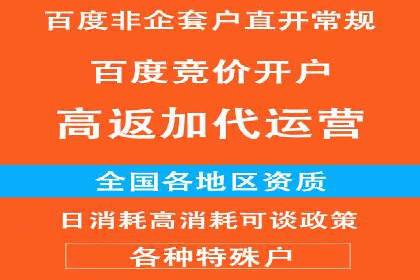 百度SEO推广公司案例精选：揭秘关键词优化策略
